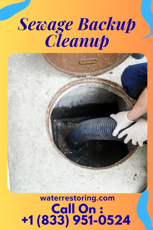 Sewage Backup Cleanup in Abbyville, KS